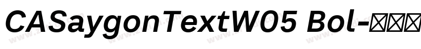 CASaygonTextW05 Bol字体转换